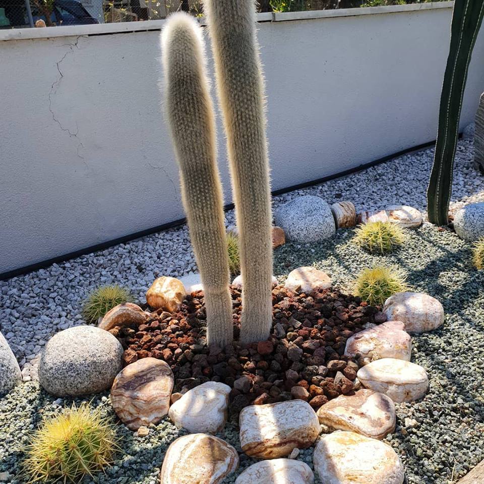 ÇAKILLI PEYZAJ UYGULAMAMIZ